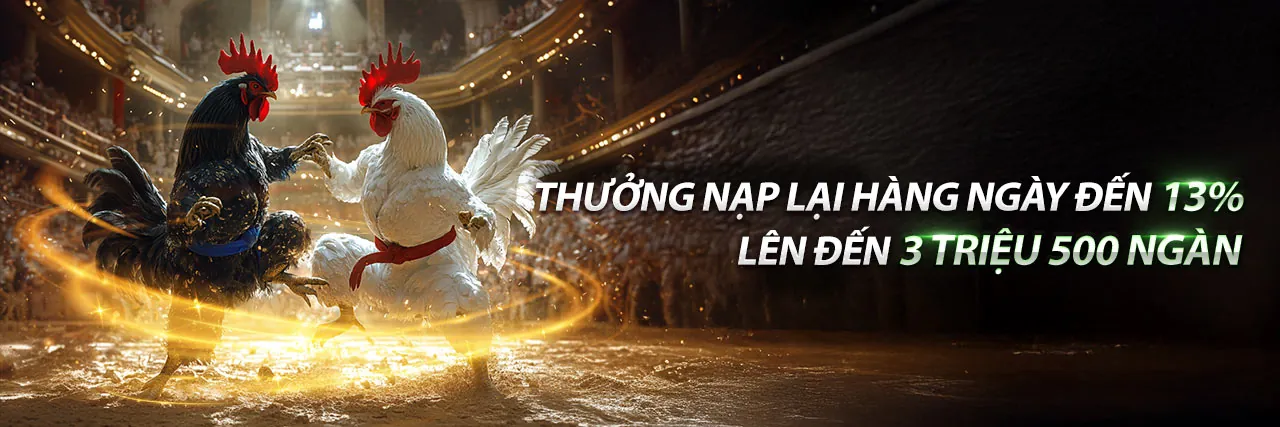 Hình ảnh đại diện trang Câu hỏi thường gặp BJ88VN